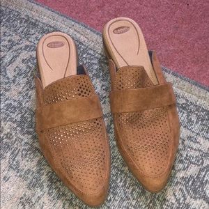 Beautiful fall mules!